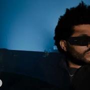 The Weeknd Society