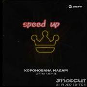 Коронована Мадам Speed Up