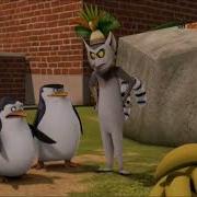 Pingwiny Z Madagaskaru