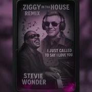 Ziggy In The House