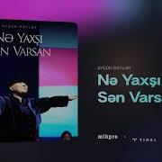 Ne Yaxsi Sen Varsan
