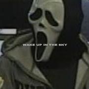 Wake Up In The Sky Slowed
