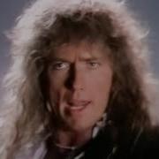 Whitesnake Is The Love
