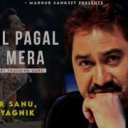 Yeh Dil Pagal Dil
