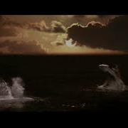 Orca Film Opening