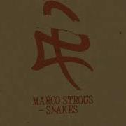 Marco Strous Snakes