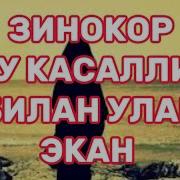 Зинокор Эркак