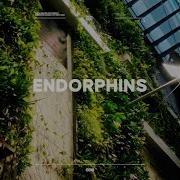 Mph Endorphins