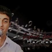 Ceyhun Lökbatanlı Hardasan