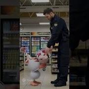 С Матами Ии