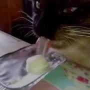 Mmmm Danone