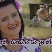 Viata Unde Te Grabesti