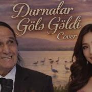 Niyaməddin Musayev Durnalar Gölə Gəldi Cover