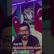 Alkaw Dostlarim