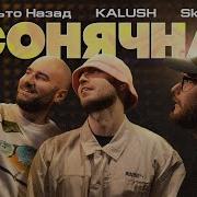 Сонячна