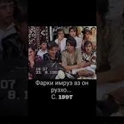 Туй 1997 Сол