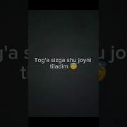 Тоғам