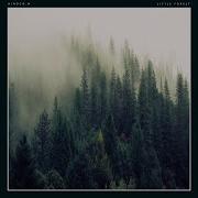 Little Forest Hiroco M