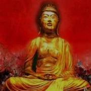 Buddha Bar Viii