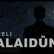 Mixerdj Suneli Palaidune