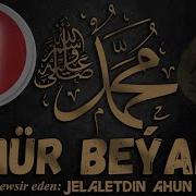 Pygamberin Omur Beyany