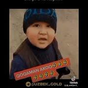 Оргиси