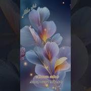 Свазь Годы Песни Mila Art