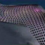 Schiffie Co Penguin Dance