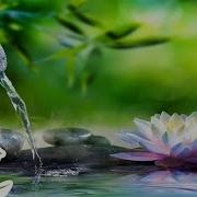 Musik Meditasi